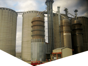 云呼死你网页版